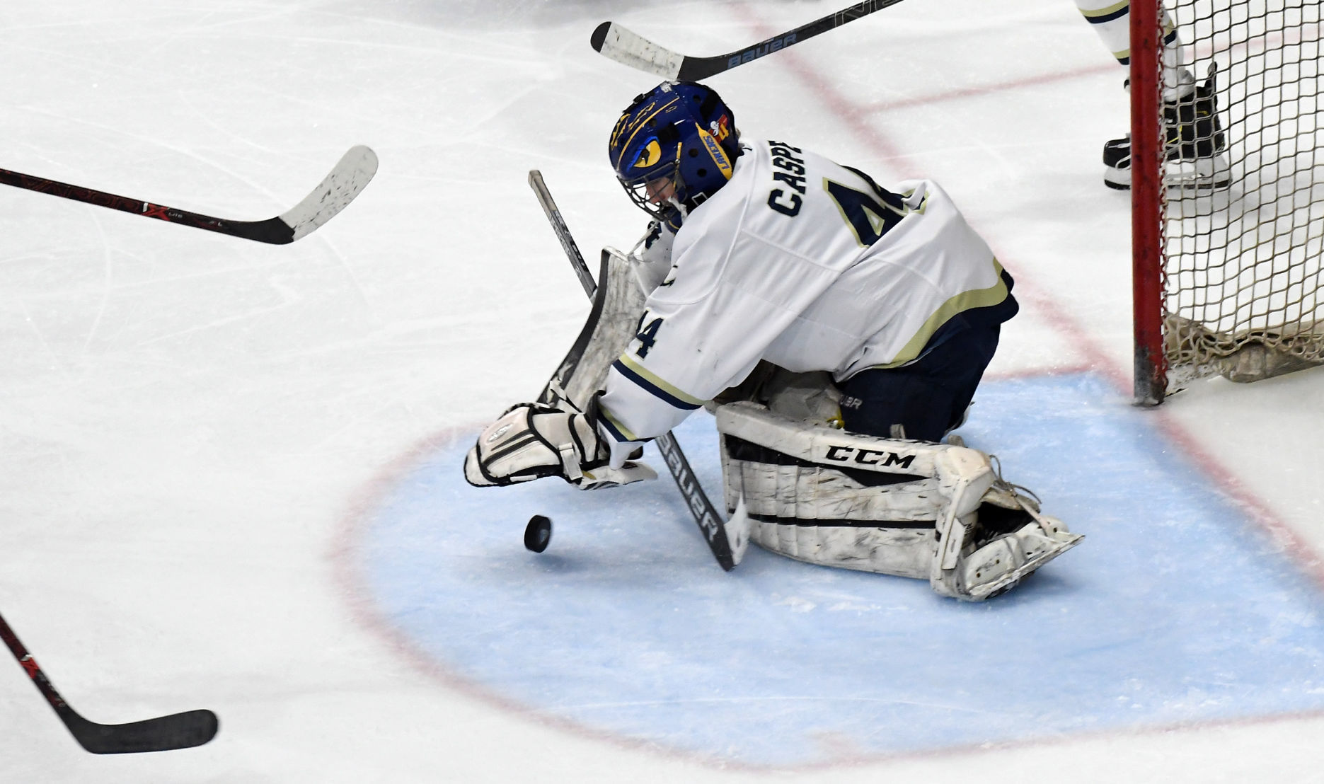 Hockey Goalie 6.JPG